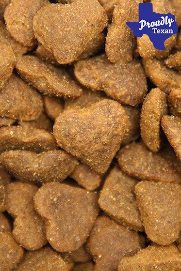 Best Pet Products for Fall